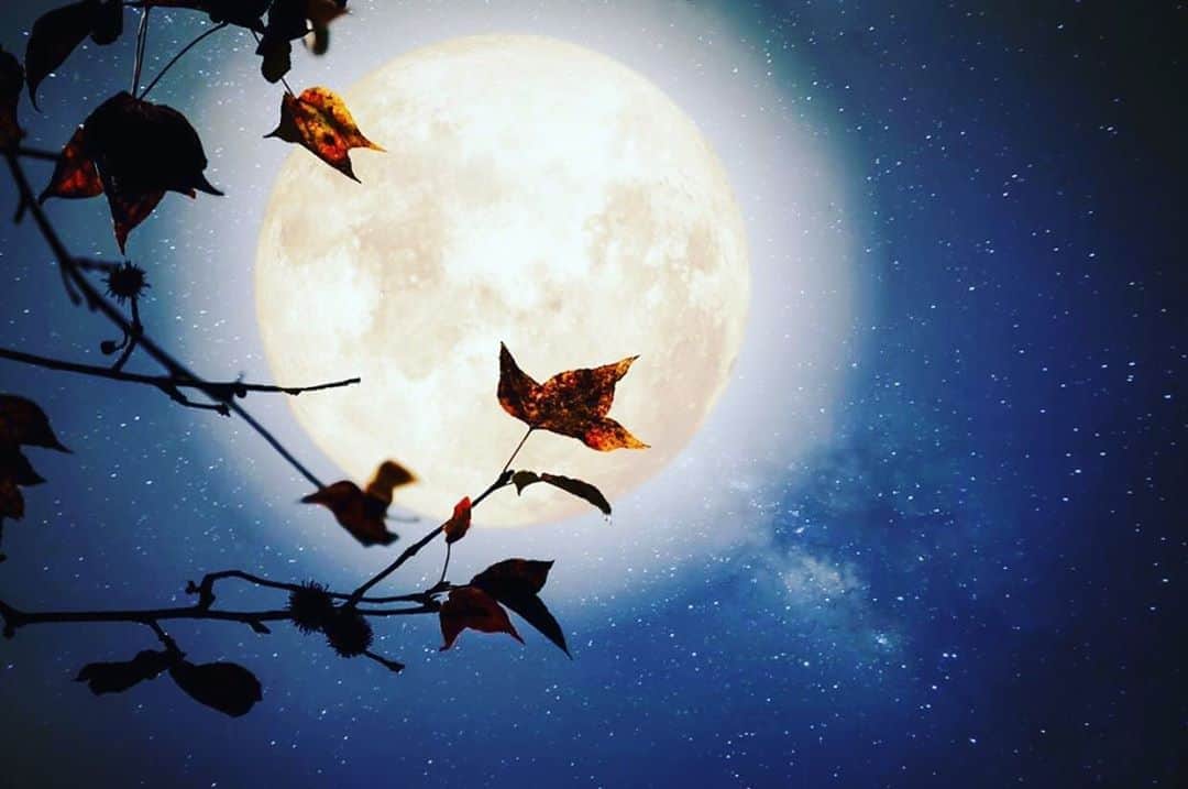 トームさんのインスタグラム写真 - (トームInstagram)「Happy #Samhain, #AllHallowsEve or #Halloween - it’s a special year as this is the first Blue Moon to be seen in all times zones since 1944. The full Halloween moon will rise at 10:49 am ET on October 31, which explains why the moon will be visible across time zones.  . The veil between the living and the dead is thinner then ever ths year. #SusanMiller says to stay in. I say : go out! And be respectful of other peoples space and culture.  . We are in #Patzcuaro #Michoacan for #DiaDeLosMuertos for #DayOfTheDead #Mexico」11月1日 0時49分 - tomenyc
