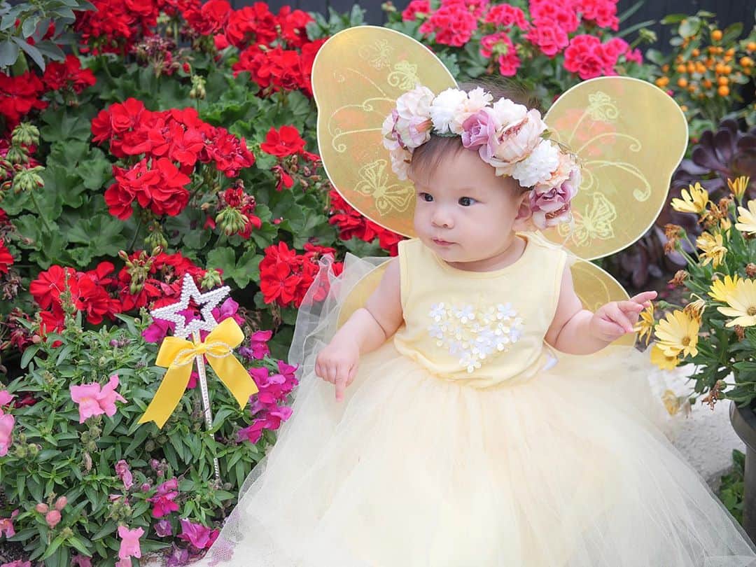 アン・カーティスのインスタグラム：「Our little fairy making all our wishes come true 💫🧀🧚🏼‍♂️  Happy 1st Halloween little Dahlia Amélie and  Happy Halloween everyone! 🎃👻   Thank you Mum! Your garden was the perfect backdrop @carmcurtissmith and sorry Dahlia picked a few of your flowers 😂」