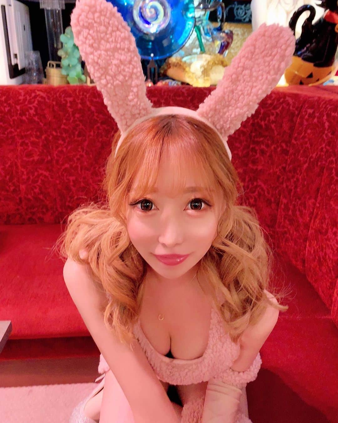 RIRAのインスタグラム：「ハロウィン🎃🧡  もこもこのウサギちゃんしましたぁ👯‍♀️ . . . #🐰#👯‍♀️#バニーガール#ハロウィン#ベネ#ベネ東京#キャバクラ#キャバ嬢#歌舞伎町#新宿#六本木#venet#shinjuku#kabukicho」