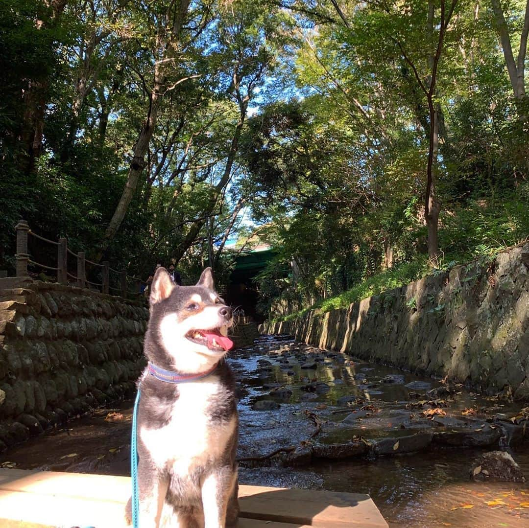 くろのインスタグラム