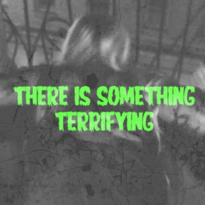 ボルコムのインスタグラム：「We interrupt our regularly scheduled programing to bring you this special Halloween message...🎃」