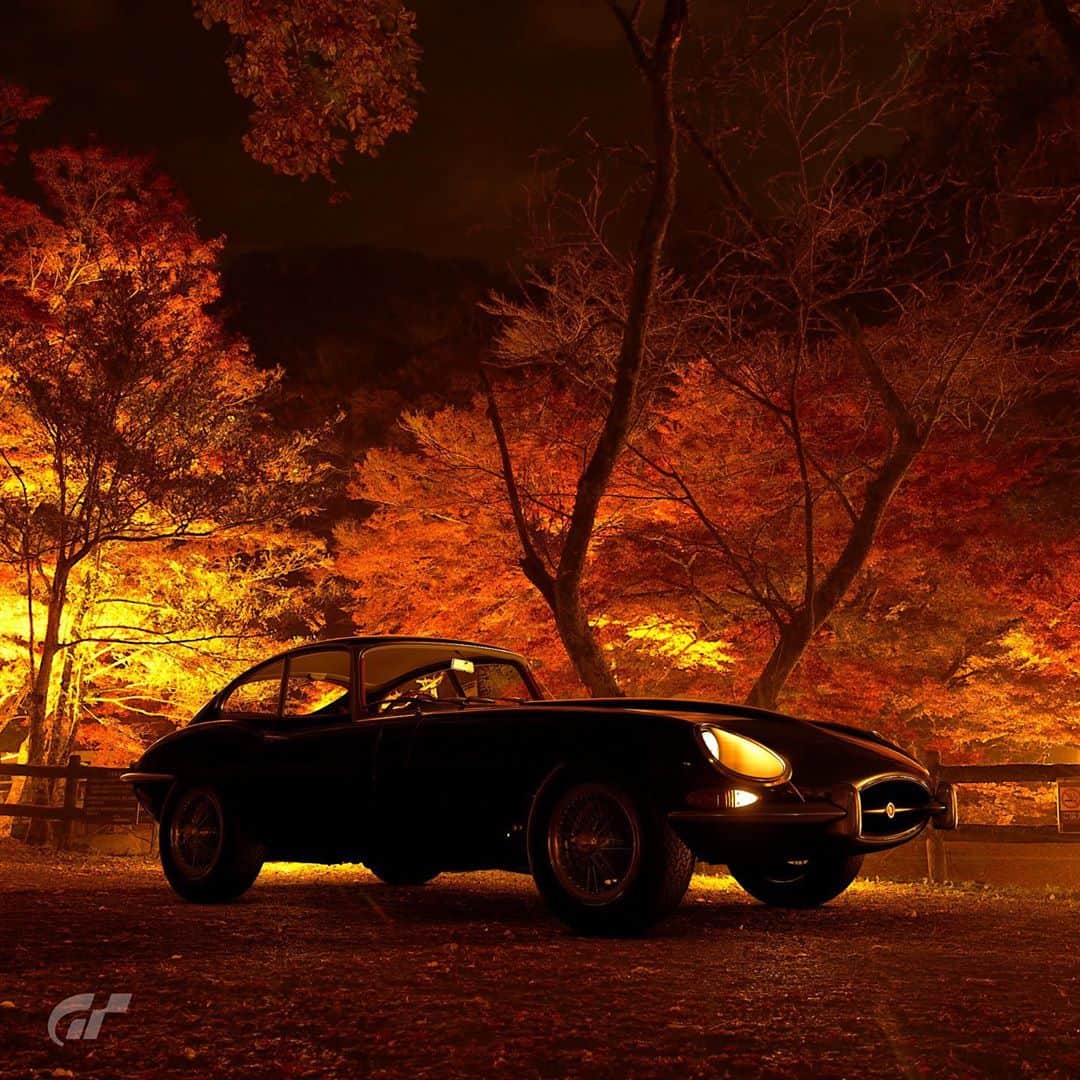 Jaguarのインスタグラム