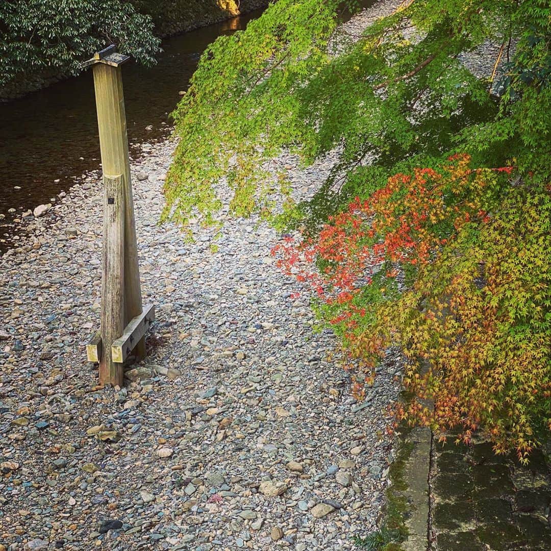 小川真司さんのインスタグラム写真 - (小川真司Instagram)「伊藤神宮に参拝。 秋晴の神宮は最高でした。 今回は月讀宮にも。」10月31日 17時56分 - maguromaru34