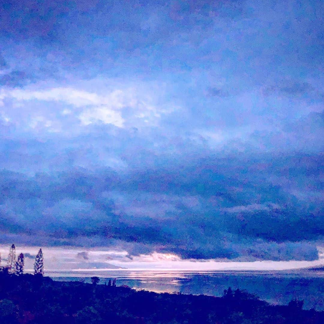山崎美弥子さんのインスタグラム写真 - (山崎美弥子Instagram)「Morning of Prussian Blue プルシャンブルーの朝。」10月31日 17時57分 - miyakoyamazaki