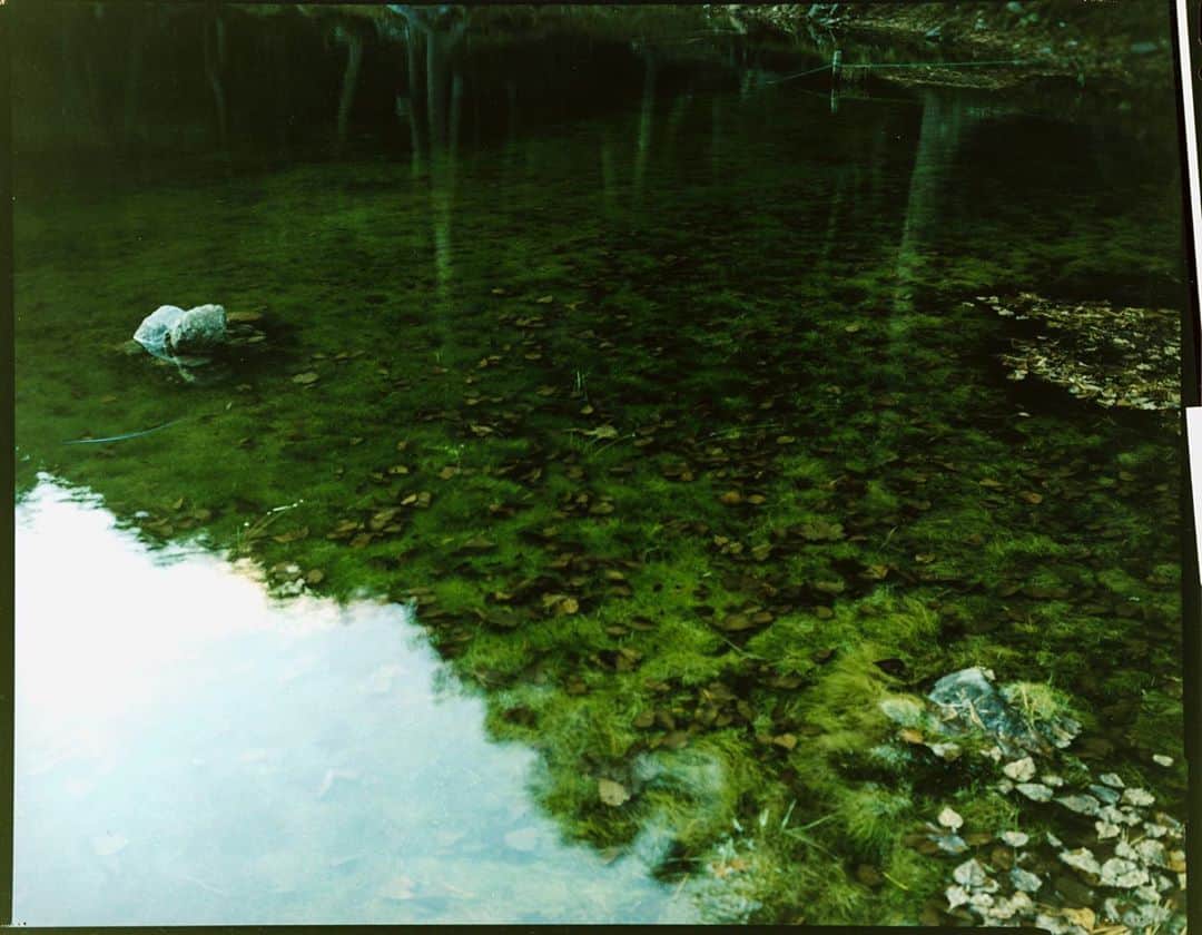 のインスタグラム：「8x10 print  #film #landscape  #landscapephotography  #filmphotography  #cprint #analog  #8x10film」