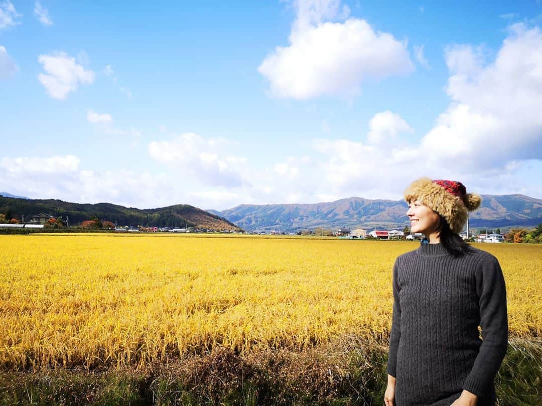 佐藤藍子のインスタグラム：「皆様、おこんばんみーです😌  先日、主人の仕事に同行して 岩手県の遠野市に行って来ました💨  遠野市にある、遠野馬の里に行って 昨年の乗用馬のセリでお客様が落札して、１年間馬の里で預託している、かわいいかわいいお馬ﾁｬﾝに調教の確認も兼ねて会いに行きました🐴  とてもオーラのある、これからの成長が楽しみなｺです😆  遠野市は里山の風景が美しく紅葉していましたー🍁 田んぼも黄金に輝いていた！！ 来年は、青いワンピースを着て写真を撮ろうかな📸ふふふ 青い服と金色の野、、、 ふふふ  #遠野市#遠野馬の里#馬#遠野の馬#遠野の乗用馬#紅葉#秋の紅葉#田んぼ #aikosato#horse##佐藤藍子」