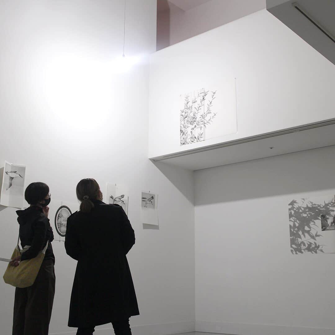 SHISEIDO THE GINZAさんのインスタグラム写真 - (SHISEIDO THE GINZAInstagram)「【資生堂ギャラリー「第14回　shiseido art egg」橋本 晶子展】  花椿通りを挟んだ当店お隣りの資生堂ギャラリーでは、10月30日（金）より、「第14回　shiseido art egg」橋本 晶子展を開催中（事前予約制）。  鉛筆で描いたモノトーンの絵画を現実の世界に同期させ、空間に潜むもうひとつの風景を生み出す、橋本晶子氏。 植物やグラス、鳥などをモティーフに緻密に描写された絵画は、ギャラリーの白い壁に呼応しながら、光や時間、距離、気配を感じさせます。  当店4F SHISEIDO THE TABLESでは、資生堂ギャラリー「第14回　shiseido art egg」展とのコラボ企画を実施中。 詳細は次のpostにて。  #資生堂 #shiseido #shiseidothestore #資生堂ギャラリー #shiseidogallery #資生堂artegg #artegg #橋本晶子 #アート #art #ギャラリー #gallery #exhibition #銀座 #ginzatokyo」10月31日 18時34分 - shiseidothestore