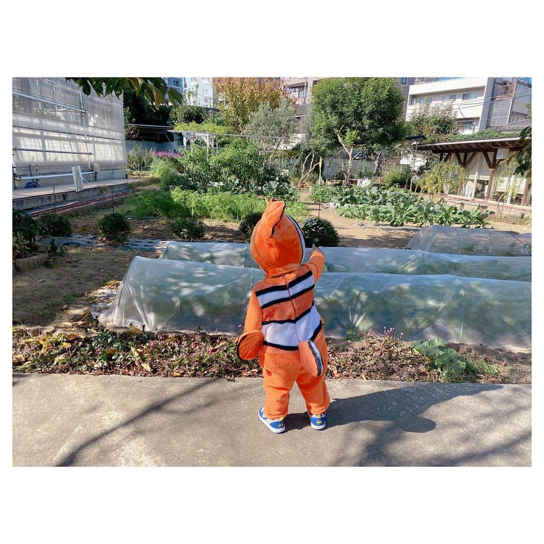 辻希美さんのインスタグラム写真 - (辻希美Instagram)「happy Halloween🎃💕」10月31日 18時46分 - tsujinozomi_official