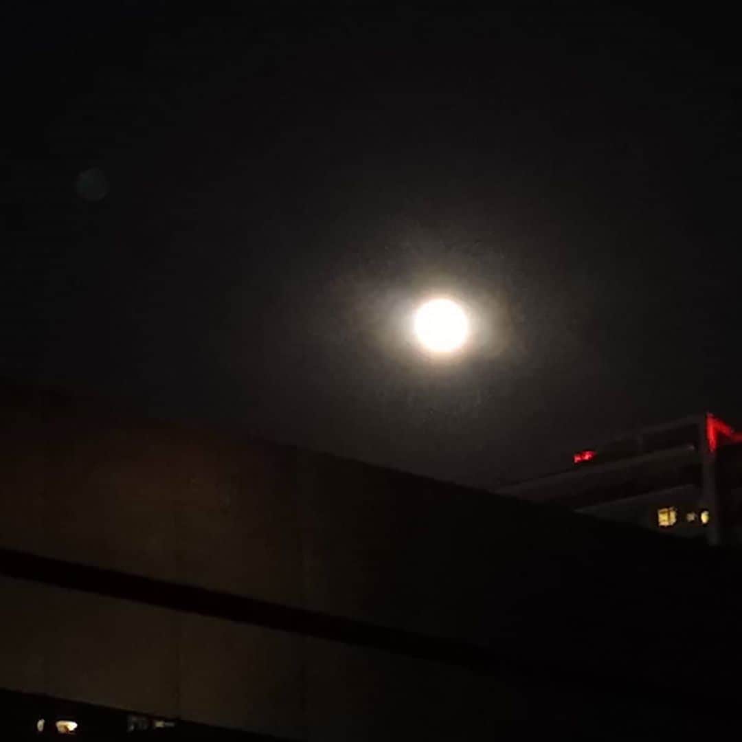 なだぎ武さんのインスタグラム写真 - (なだぎ武Instagram)「月がピカピカ🌕ワシの携帯ではあんまりキレイに撮られへんけど、めちゃくちゃキレイ。 ハロウィンの日に満月なのは46年振りやて、、すごい。。 #ハッピーハロウィン🎃  #ブルームーン」10月31日 18時47分 - nadagigigi