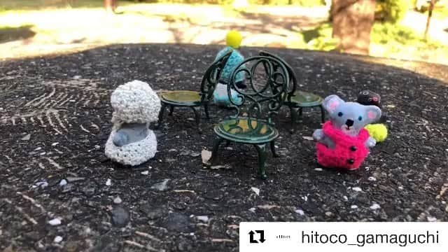 北岸由美のインスタグラム：「残り1席です！🐨  #Repost @hitoco_gamaguchi  ・・・ ワークショップは、残り1席となりました！動物達も最期の1席をかけた椅子取りゲームに奮闘中。」