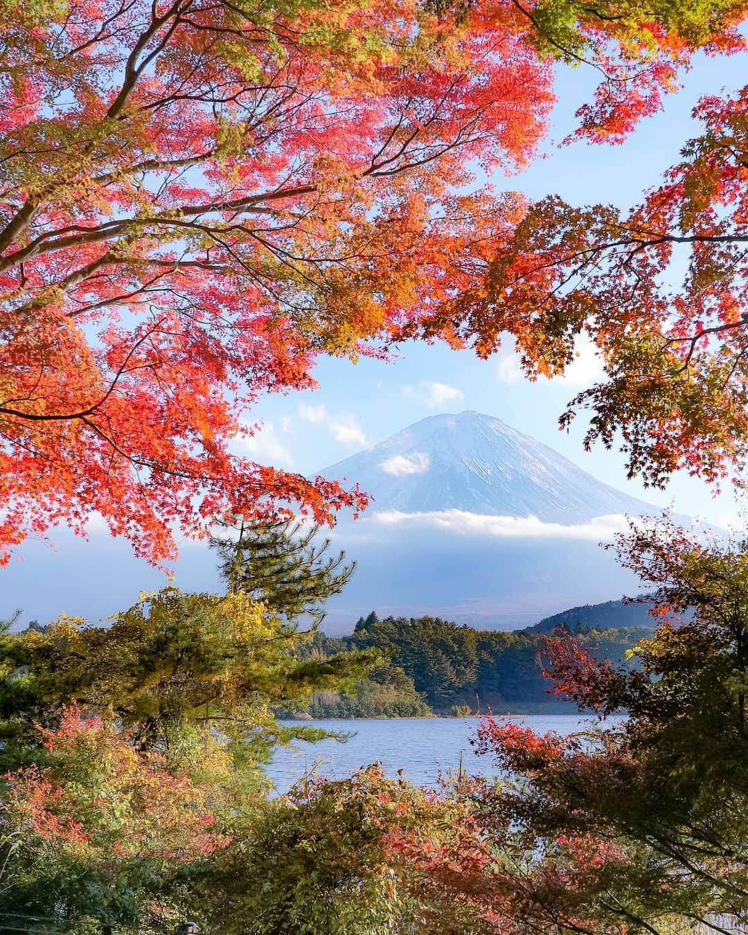 masayaさんのインスタグラム写真 - (masayaInstagram)「河口湖 Lake Kawaguchi 去年11月」10月31日 19時22分 - moonlightice