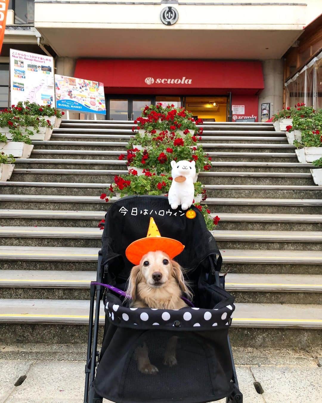 チズのグルメインスタ