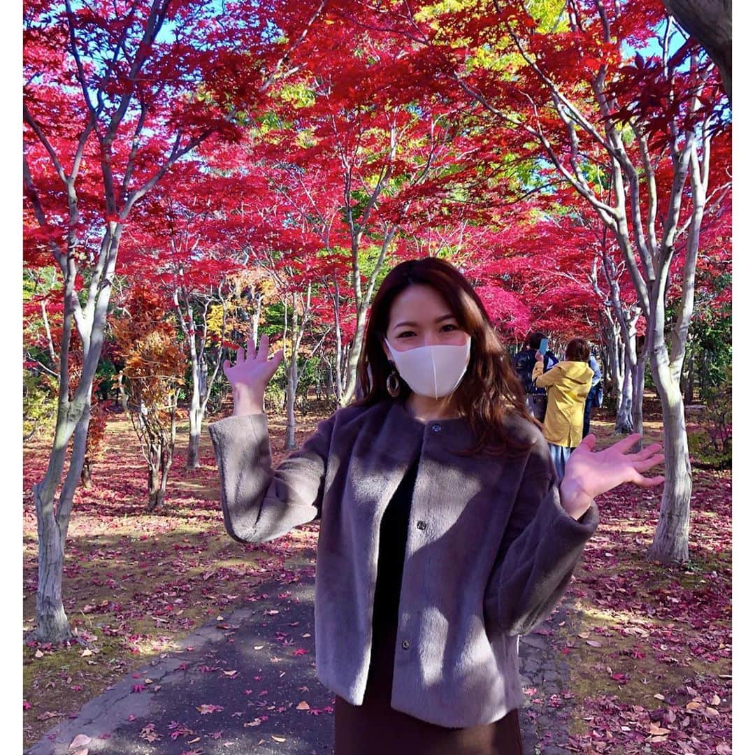 芳賀愛華のインスタグラム：「. 札幌市内紅葉の綺麗な場所が沢山😍🍁 ドライブしてたら色んな所で木々が色付いていて 天気も最高できもちよかったなぁ☺️💓 最終目的地は平岡樹芸センター🍁 今がちょうど見頃で本当に綺麗でした😍‼︎ . . 銀杏の黄色も大好きだけど もみじの赤はもっと大好き😚🍁 . . . #平岡樹芸センター#札幌紅葉#もみじ並木#紅葉」