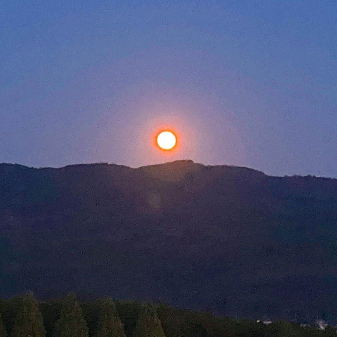 マキ・コニクソンのグルメインスタ