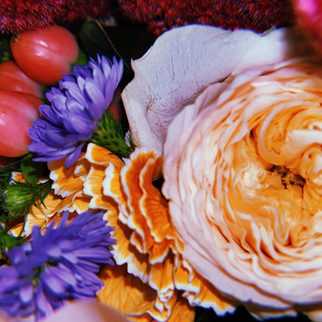 長月翠さんのインスタグラム写真 - (長月翠Instagram)「お花を頂きました。 心が洗われるね〜🌸」10月31日 20時13分 - miffy00517