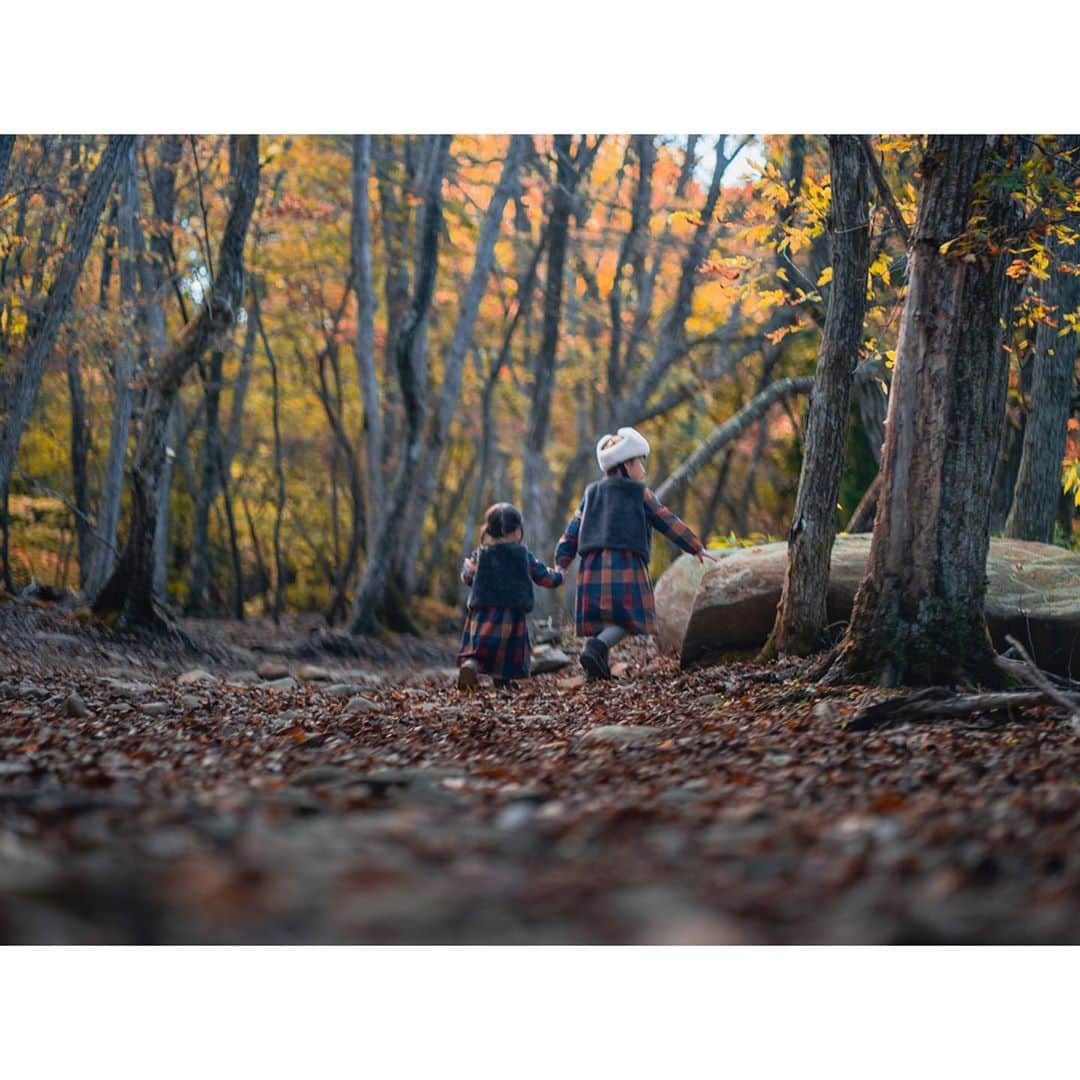 Kyooonさんのインスタグラム写真 - (KyooonInstagram)「リラクシアの森  映画ノルウェイの森の ロケ地になった場所🌳  カメラを始めてから ふとした瞬間の光の入り方とか いろんなところに目がいくようになったなぁ  始めてなかったら、こんな素晴らしい場所も 空気が澄んでいて気持ち良いね✨ くらいの感想だった可能性もある←😂  写真も動画も楽しい☺️ #リラクシアの森#峰山高原#ノルウェイの森#ノルウェイの森ロケ地#姉妹#4歳差姉妹#カメラ練習中#レタッチ練習中」10月31日 20時40分 - fancykyon