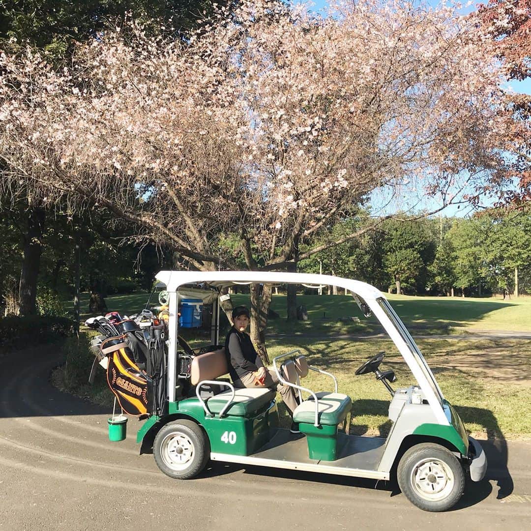 福田葉子のグルメインスタ