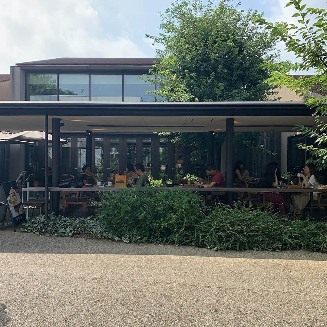 りょうくんグルメさんのインスタグラム写真 - (りょうくんグルメInstagram)「【代官山　IVYPLACE】 代官山のオシャレカフェ！ ㅤㅤㅤㅤㅤㅤㅤㅤㅤㅤㅤㅤㅤ 🏠#代官山　#アイビープレイス 🚶‍♂️代官山駅徒歩4分 📖 クラシックバターパンケーキ(¥1300) アイスカフェラテ(¥720)×2 ㅤㅤㅤㅤㅤㅤㅤㅤㅤㅤㅤㅤㅤ 芸能人も通う有名カフェ。 モーニングからディナーまで人気で常にお客さんが入る。 ㅤㅤㅤㅤㅤㅤㅤㅤㅤㅤㅤㅤㅤ クラシックバターパンケーキは、かためにバターたっぷり。上には蜂蜜かメープルシロップがかけられる。昔ながらのホットケーキみたいな味。 ㅤㅤㅤㅤㅤㅤㅤㅤㅤㅤㅤㅤㅤ 半分こしたけどちょうどよかった！ ほんとにシンプル系で一番好き！ 見た目がオシャレで韓国っぽい！ ㅤㅤㅤㅤㅤㅤㅤㅤㅤㅤㅤㅤㅤ カフェラテも量たっぷり。 ㅤㅤㅤㅤㅤㅤㅤㅤㅤㅤㅤㅤㅤ  メニューはQRコードで見るタイプ。 店内は広く席数多い。 テラス席あり。 お一人様しやすい。 女性多めだけど男性も入りやすいお店。 ㅤㅤㅤㅤㅤㅤㅤㅤㅤㅤㅤㅤㅤ 一人で一個食べると味に飽きるから、クリームやフルーツを追加でトッピングするのオススメ！ ㅤㅤㅤㅤㅤㅤㅤㅤㅤㅤㅤㅤㅤ めっちゃ前から定期的に行くお店！ 同じ敷地にツタヤ書店あるのも最高。 良き！ ㅤㅤㅤㅤㅤㅤㅤㅤㅤㅤㅤㅤㅤ 東京都渋谷区猿楽町16-15  ブレックファースト 平日　　8:00〜11:30 (10:45 L.O.) 土日祝　7:00〜11:30 (10:45 L.O.)  ランチ 平日　　11:30〜16:00 (15:00 L.O.) 土日祝　11:30〜17:00 (16:00 L.O.)  ディナー 平日　　18:00〜23:00 (22:00 L.O.) 土日祝　17:30〜23:00 (22:00 L.O.) 日曜営業」10月31日 20時37分 - uryo1113