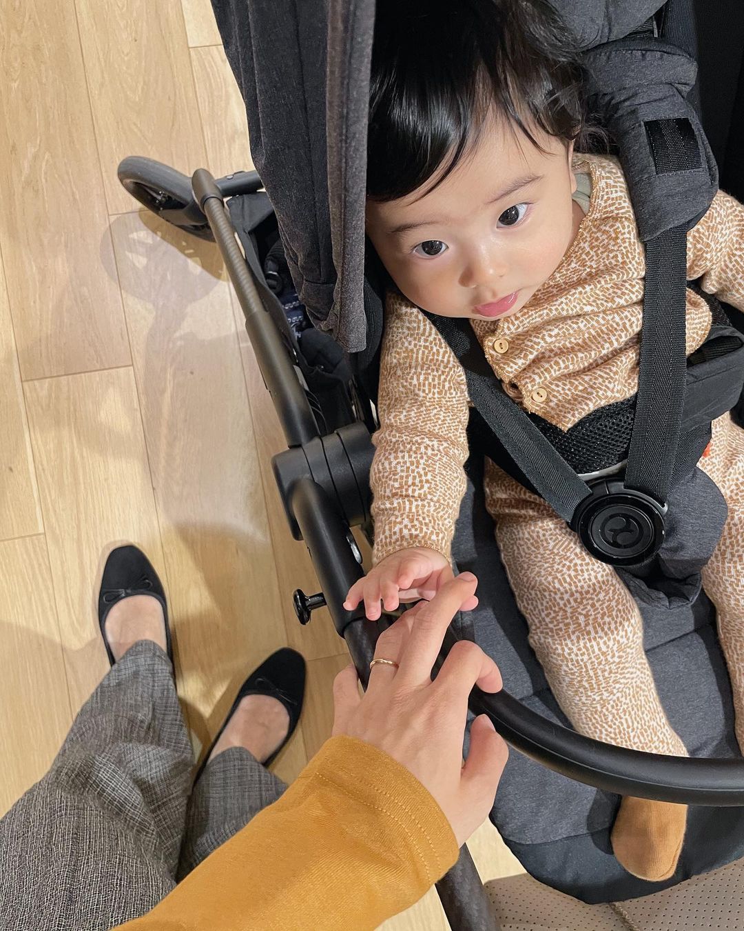 ちょびのインスタグラム