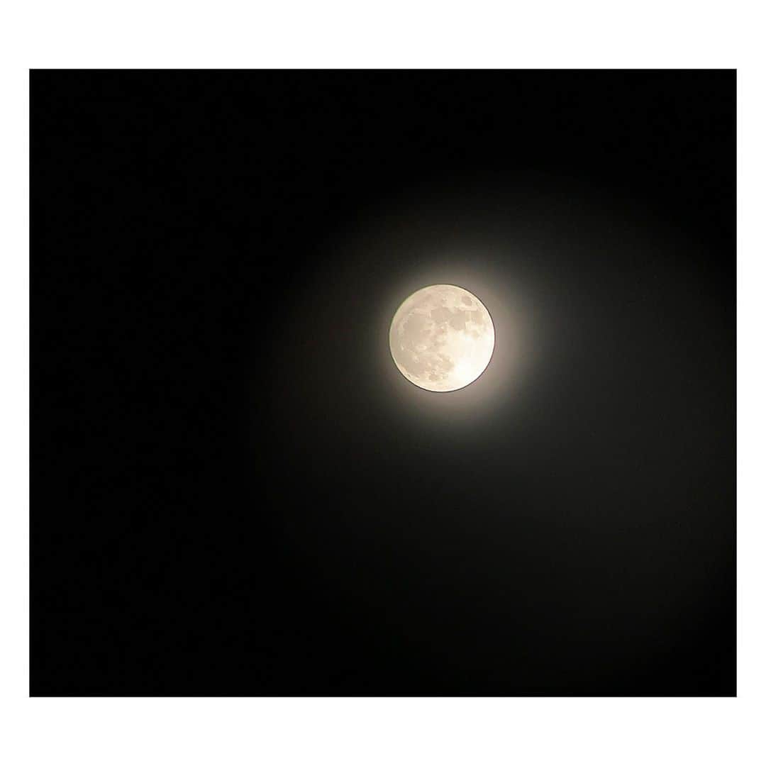桜めいのインスタグラム：「🌕 10月31日 ハロウィン 満月 ブルームーン ・ #halloween #1031 #ハロウィン #moon #fullmoon #bluemoon  #公園の望遠鏡で必死に覗きながら撮った一枚」