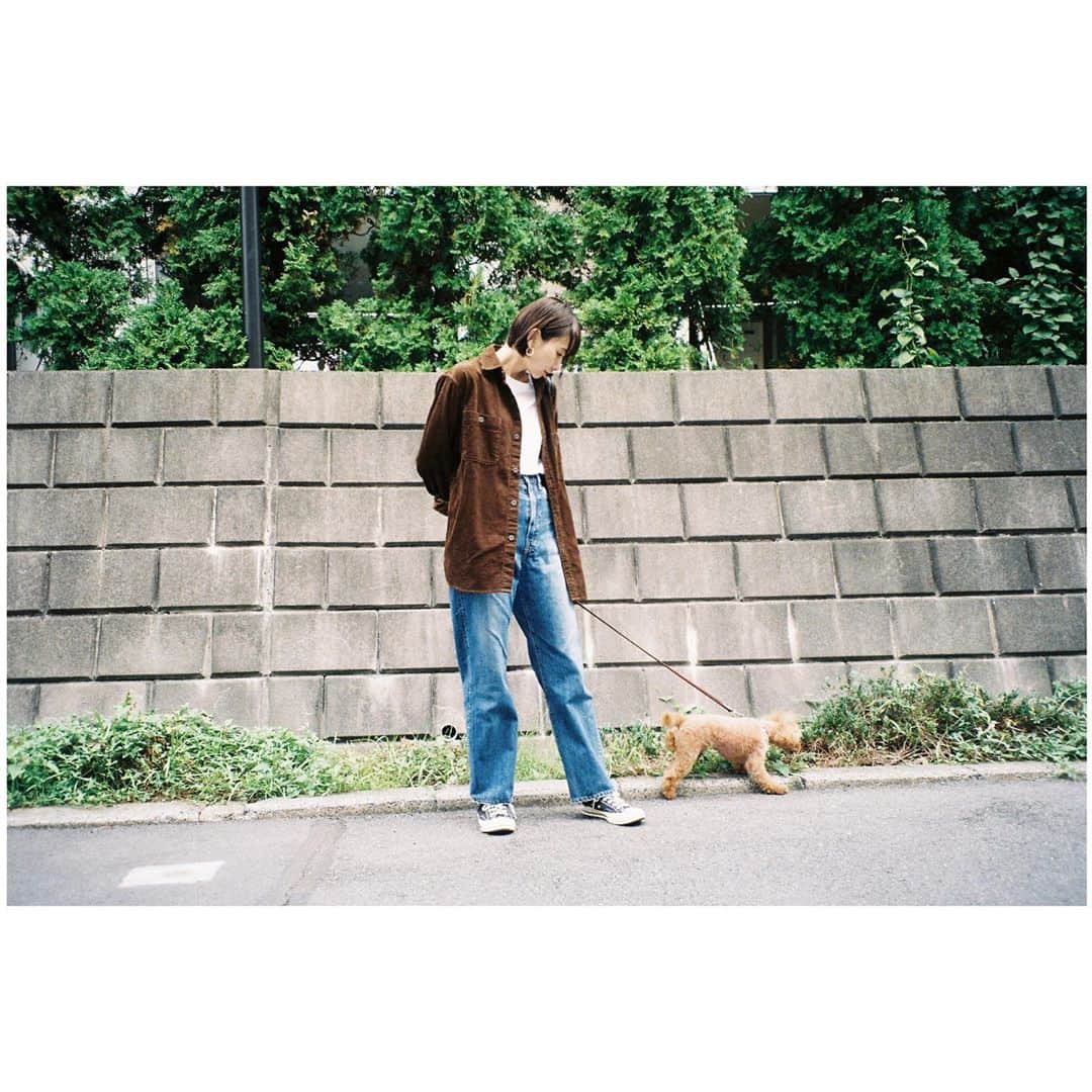のインスタグラム：「昼間はまだこれでいけるけど夜は一気に寒くなったね。冬が近づいてきてる。 ﻿ ﻿ 🎞Kodak colorplus 200﻿ ﻿ #uniqlo#fashion#camera#filmcamera#filmphotography#film#Kodakcolorplus200#フィルムカメラ#フィルム#ogumomofilm」