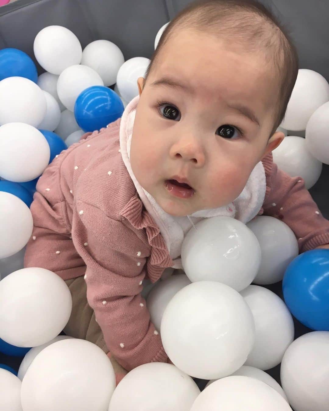 上原さくらのインスタグラム：「ボールプールがお気に入り🟠⚪️🟢🔵🟣🔴🟡 #baby #babygirl #赤ちゃん　#生後6ヶ月 #可愛い #親バカ部  #女の子ベビー #女の子ママ #ハーフバースデー #家族 #ボールプール #おすわり #元気」