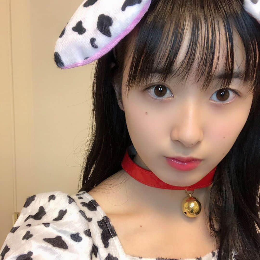 久保咲玖良さんのインスタグラム写真 - (久保咲玖良Instagram)「happy happy Halloween‼︎  ダルメシアンになったよ🐾  #ハロウィン #ハロウィンコスプレ #ダルメシアンコスプレ #おうちでハロウィン #halloween #久保咲玖良 #太田プロダクション #女優 #女優の卵」10月31日 21時31分 - sakura__4141