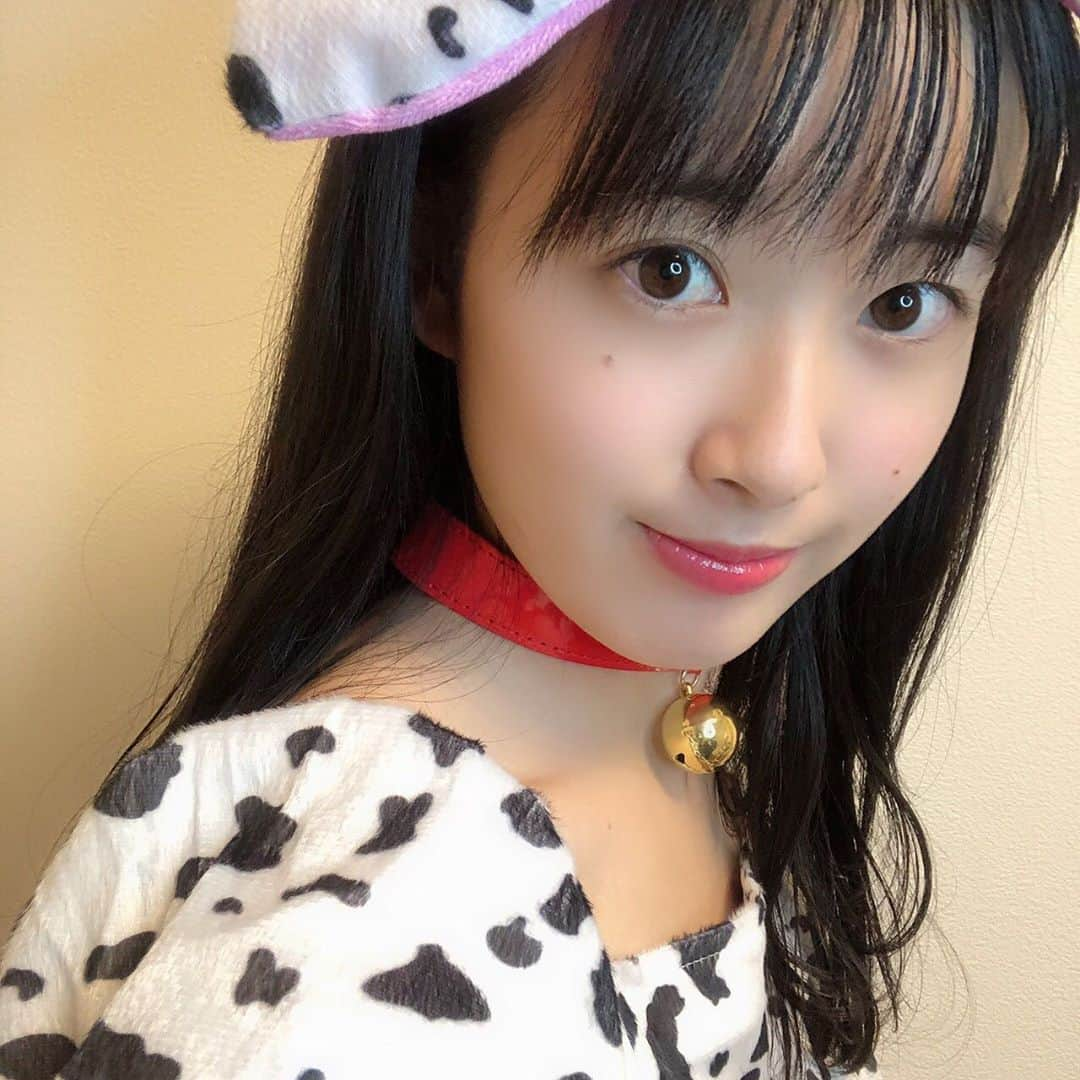 久保咲玖良さんのインスタグラム写真 - (久保咲玖良Instagram)「happy happy Halloween‼︎  ダルメシアンになったよ🐾  #ハロウィン #ハロウィンコスプレ #ダルメシアンコスプレ #おうちでハロウィン #halloween #久保咲玖良 #太田プロダクション #女優 #女優の卵」10月31日 21時31分 - sakura__4141