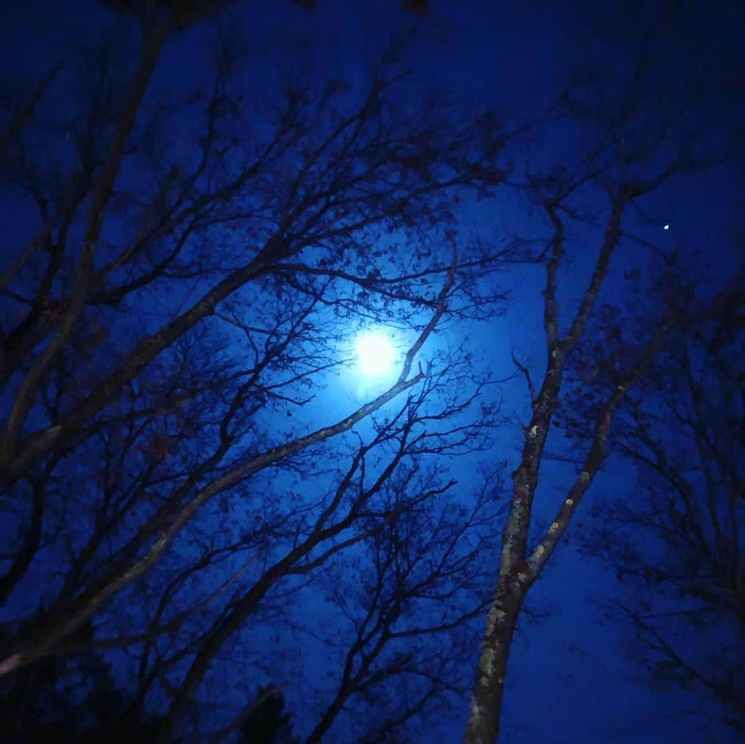 内田恭子さんのインスタグラム写真 - (内田恭子Instagram)「Happy Halloween❗️❗️ 46年ぶりのHalloween full moon!! ちょっとspooky❗️  #happyhalloween🎃 #halloween #友人家族との夕食 #halloweenfullmoon #ハロウィン満月　#spooky #内田恭子 #kyokouchida」10月31日 21時31分 - kyoko.uchida.official