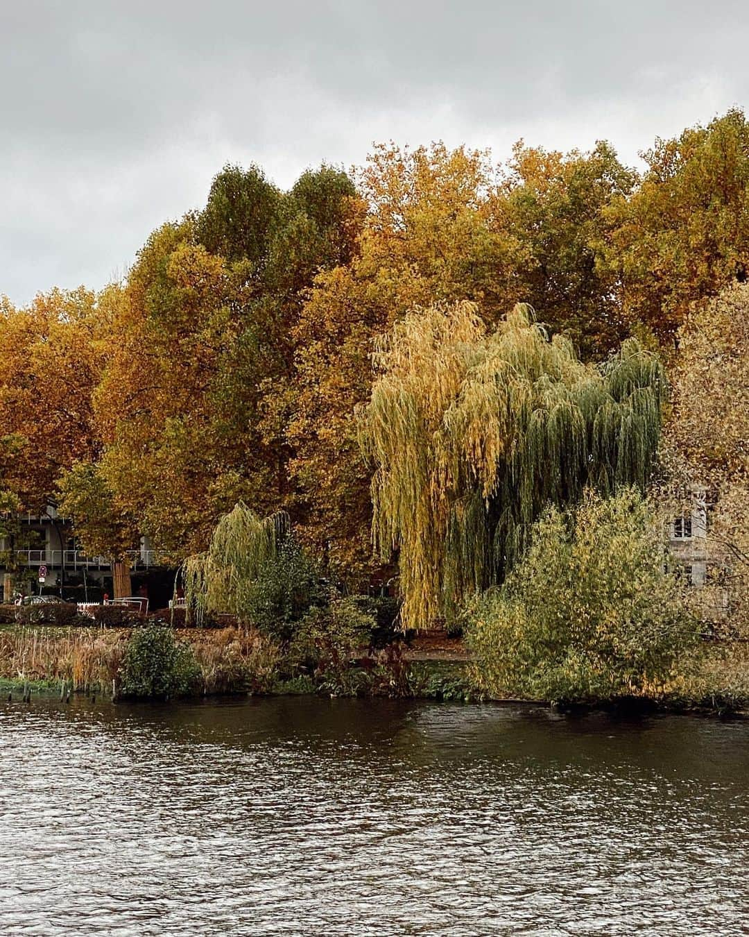 レオニー・ハンネさんのインスタグラム写真 - (レオニー・ハンネInstagram)「My first German autumn in 5 yrs. 🥰🍁🍂 #hamburg #autumn」10月31日 21時46分 - leoniehanne