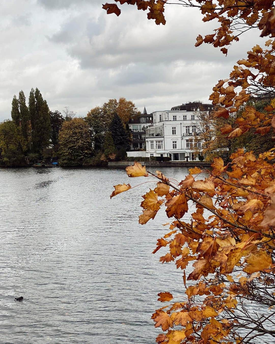 レオニー・ハンネさんのインスタグラム写真 - (レオニー・ハンネInstagram)「My first German autumn in 5 yrs. 🥰🍁🍂 #hamburg #autumn」10月31日 21時46分 - leoniehanne