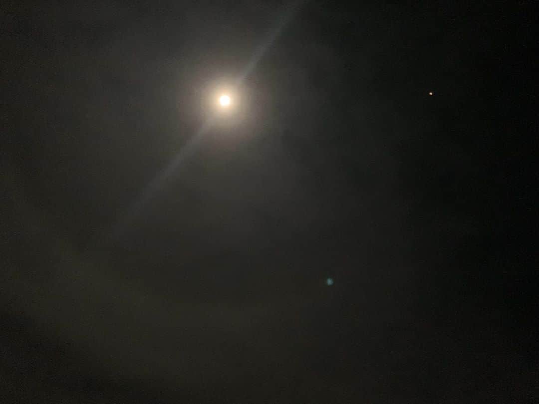 瀧本美織のインスタグラム：「今夜はブルームーン🌕 みんなはみれた？  Blue moon tonight.  Did you see everyone?   #ブルームーン」