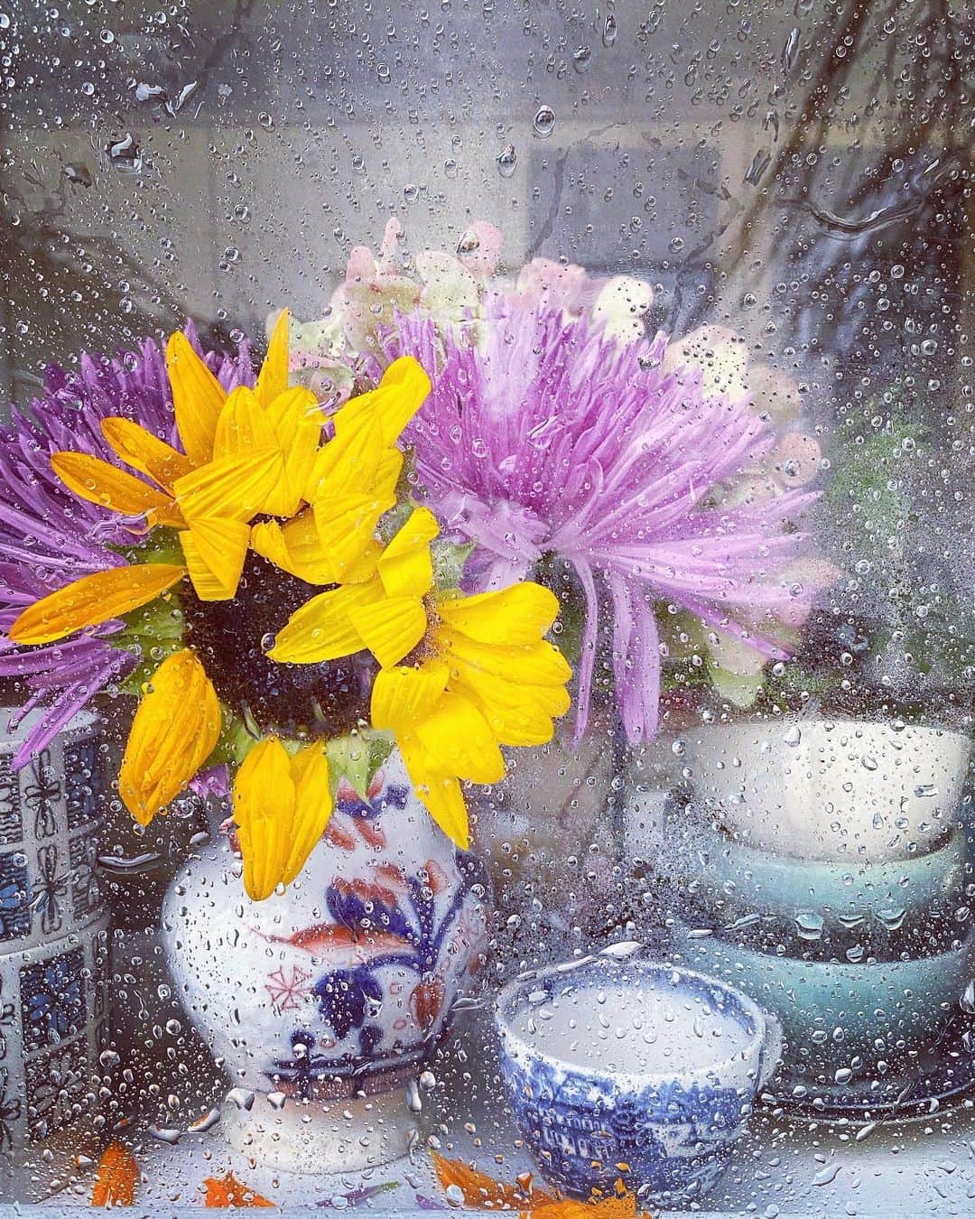 Tea and sittingのインスタグラム