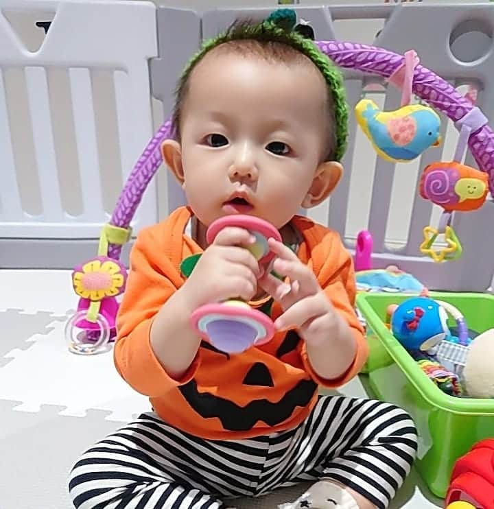 阪本麻美のインスタグラム：「我が子初のハロウィン〜♡(> ਊ <)♡  カボチャに見えなくて、下手っぴでごめんね(╯︵╰,)  来年は歩けてるし、ちゃんとコスプレしよーね!!  #ハロウィン  #ハロウィンコスプレ  #ハロウィンパーティー  #ハロウィンディナー #8ヶ月ベビー  #8ヶ月赤ちゃん  #男の子赤ちゃん  #男の子ベビー 　 #男の子ママ  #赤ちゃんのいる生活  #目まぐるしくい成長  #良く食べる  #良く寝てほしい #まだ2時間おきに起きます  #ママ睡眠不足」