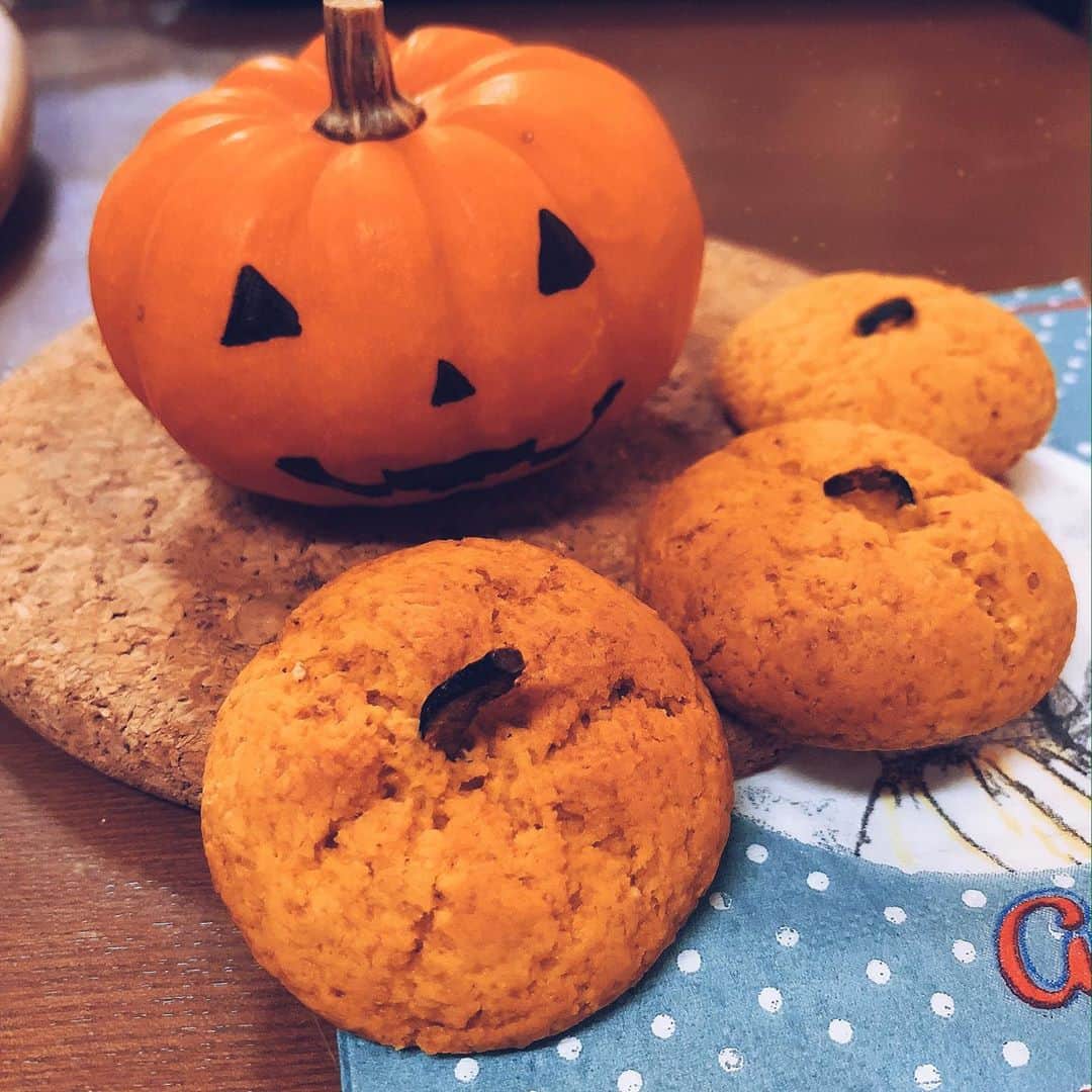 黒川沙良のインスタグラム：「ハッピーハロウィン👻おうちでハロウィン🎃﻿かぼちゃクッキー作ったよー🤍﻿みんなは何して過ごしてた？🎃🍪  かぼちゃの顔が上手く書けたからヴィヴィとも記念撮影したよ🎃🐶🎀 @vivi_and_sala  #ハロウィン #ハッピーハロウィン #かぼちゃスイーツ #お菓子作り #halloween #halloween2020 #Chihuahua #chihuahualove #chihuahualife #chihuahuastagram #vivi #puppydog  #puppy」