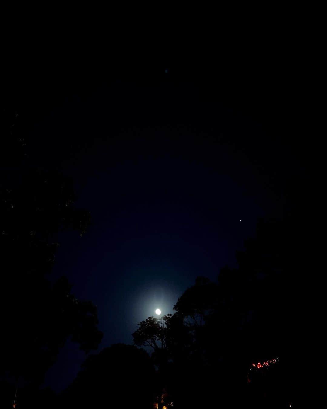 満島真之介さんのインスタグラム写真 - (満島真之介Instagram)「:今夜はブルームーン:  慌てずゆっくりと ひとつひとつ丁寧に向き合って 愛情を込めてみる。  今、この瞬間に幸せを感じられるようになるから。  良い言葉をたくさん放って、 月の光で心のエネルギーを満たす夜に。 生まれ持ったあなたの豊かさがこれからの人生を輝かせてくれるよ.. いつもありがとう。今日もありがとう。  満月満ノスケ　←誰  #ブルームーン」10月31日 22時08分 - mitsushimax