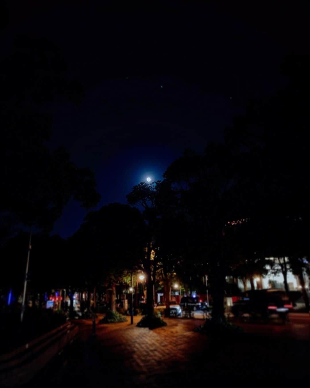 満島真之介さんのインスタグラム写真 - (満島真之介Instagram)「:今夜はブルームーン:  慌てずゆっくりと ひとつひとつ丁寧に向き合って 愛情を込めてみる。  今、この瞬間に幸せを感じられるようになるから。  良い言葉をたくさん放って、 月の光で心のエネルギーを満たす夜に。 生まれ持ったあなたの豊かさがこれからの人生を輝かせてくれるよ.. いつもありがとう。今日もありがとう。  満月満ノスケ　←誰  #ブルームーン」10月31日 22時08分 - mitsushimax