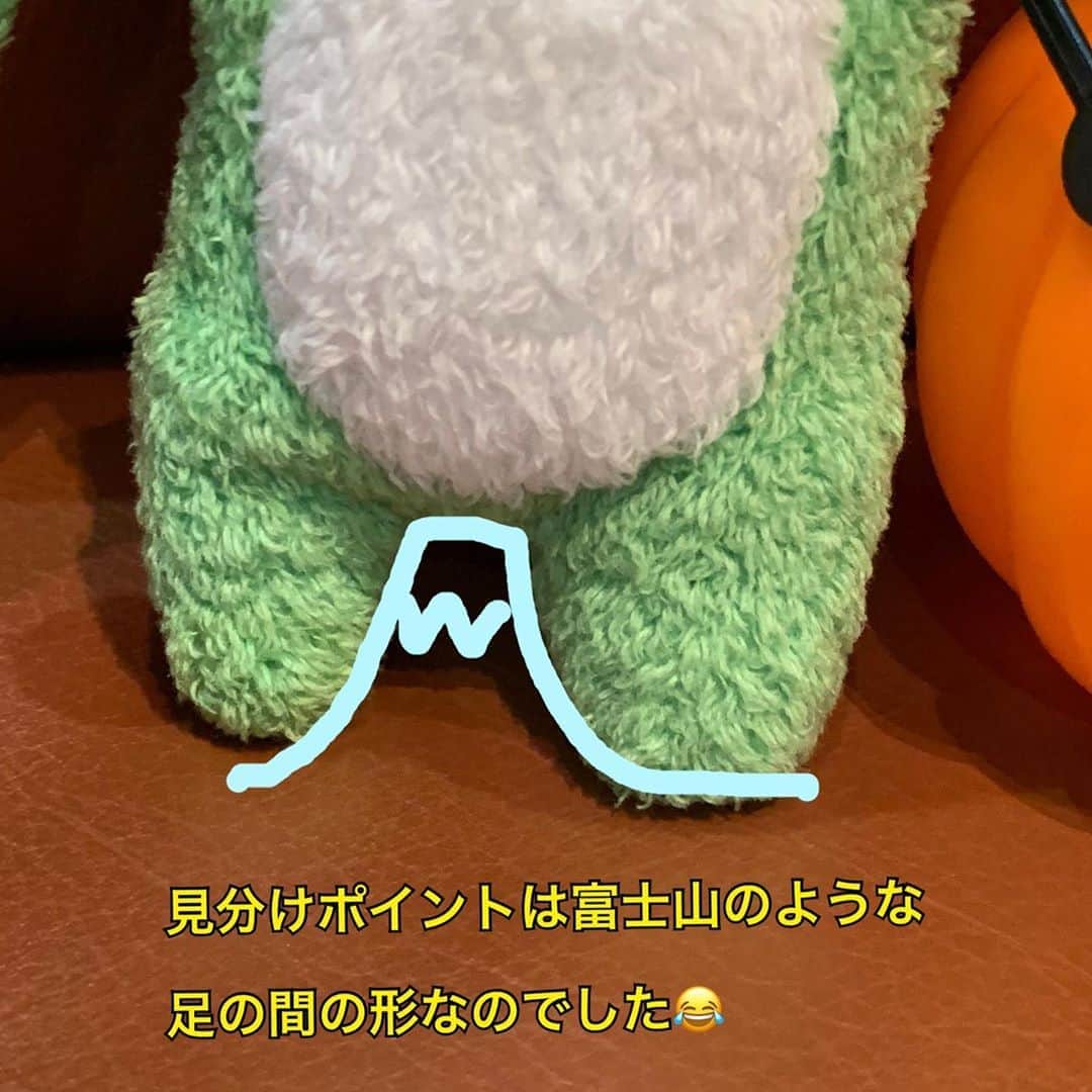 江口ともみさんのインスタグラム写真 - (江口ともみInstagram)「さてこれはだーれだ？！  3枚目でじっくり考えて、人数絞ってみよう‼️  4枚目で答えを見つけられるかな？  #fumofumosan #フモフモさん #チビかぱ #halloween #ハロウィン🎃 #ハロウィーン #だーれだ  名前リスト かっぺ、かぱじ、かぱたろう サラ、さらだ、さらよ」10月31日 22時25分 - tomomin.eguchi