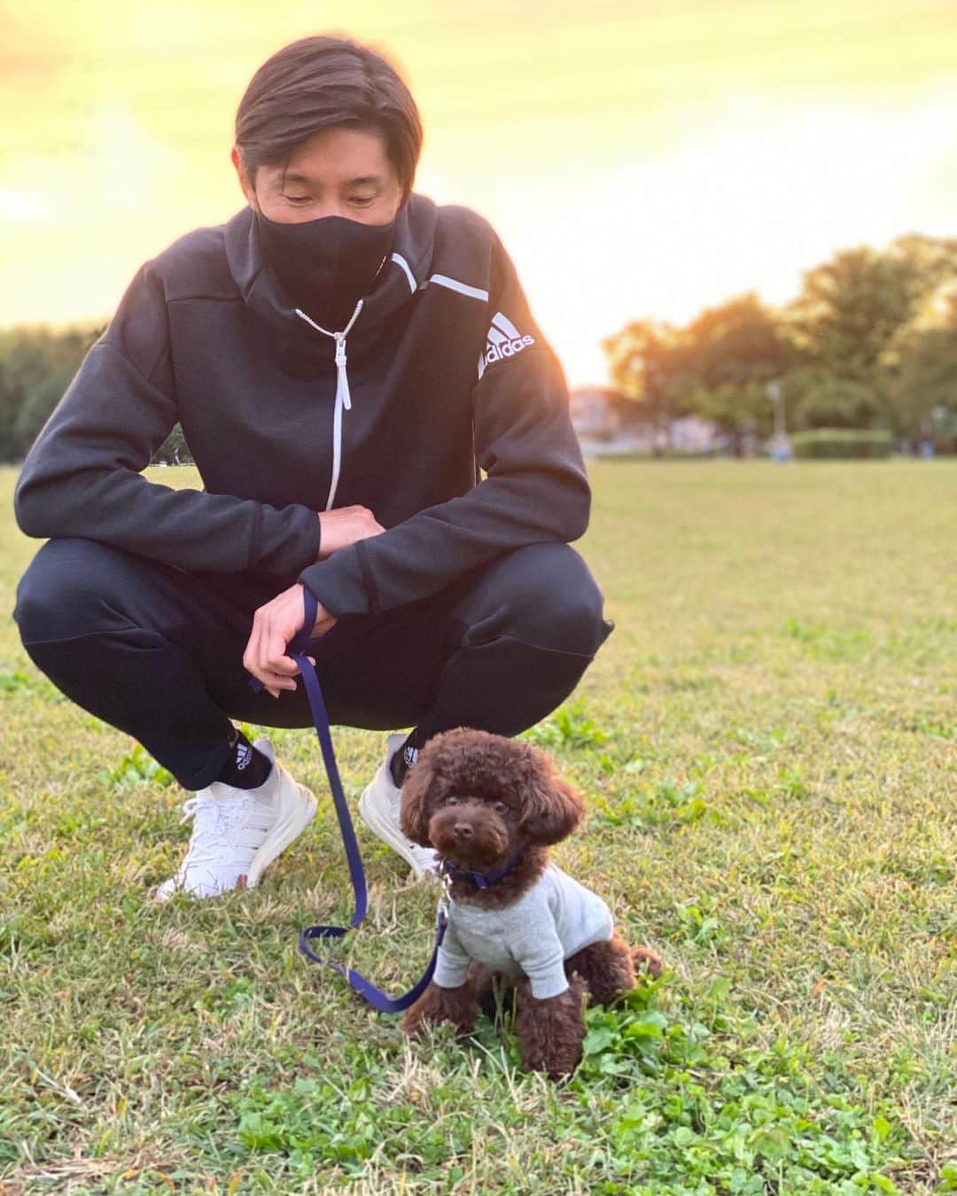 網野友雄のインスタグラム：「夕焼け綺麗でした☀️ #散歩 #ブラウンプードル #サニー」