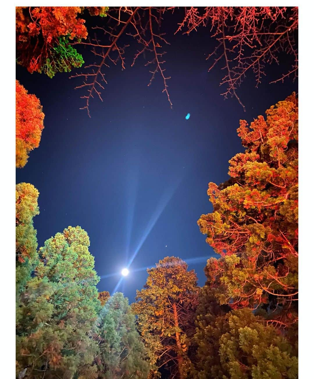 小柳ゆきさんのインスタグラム写真 - (小柳ゆきInstagram)「今日はハロウィンでブルームーンですね🌕 延暦寺からの満月はとっても美しいです✨  皆様よき夜を👻  #halloween #bluemoon #延暦寺」10月31日 22時31分 - yuki_koyanagi