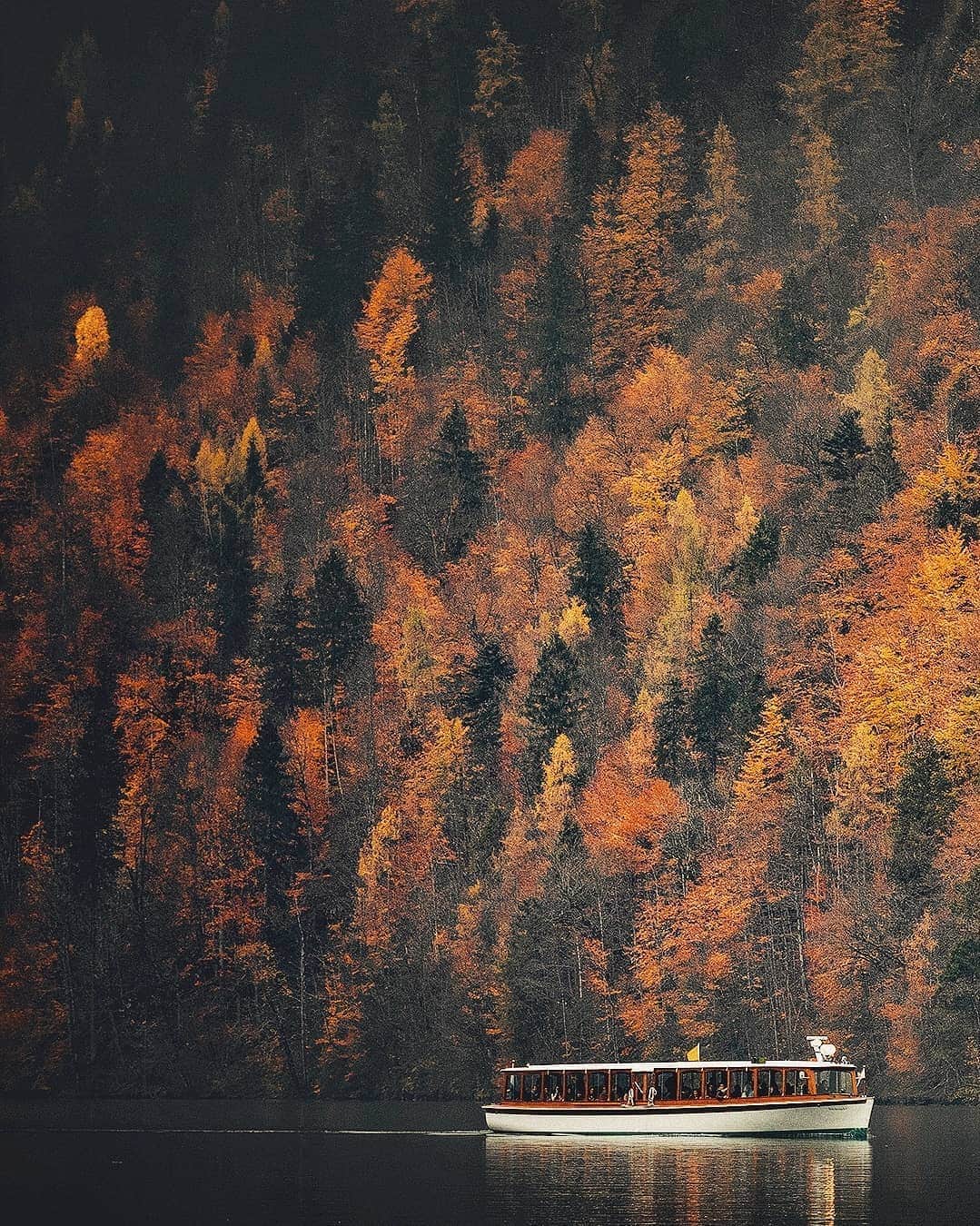 Berlin Tokyoさんのインスタグラム写真 - (Berlin TokyoInstagram)「Slowly and quietly, a boat cruises through the foggy air descending down the autumn-colored mountain. . . . #hellofrom Königssee, #germany」10月31日 22時39分 - tokio_kid