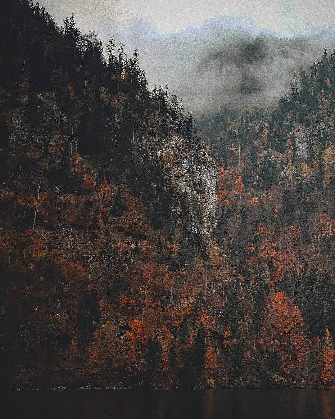 Berlin Tokyoさんのインスタグラム写真 - (Berlin TokyoInstagram)「Slowly and quietly, a boat cruises through the foggy air descending down the autumn-colored mountain. . . . #hellofrom Königssee, #germany」10月31日 22時39分 - tokio_kid
