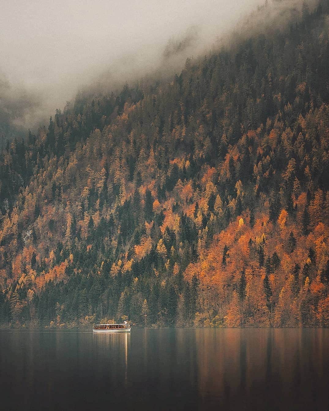 Berlin Tokyoのインスタグラム：「Slowly and quietly, a boat cruises through the foggy air descending down the autumn-colored mountain. . . . #hellofrom Königssee, #germany」