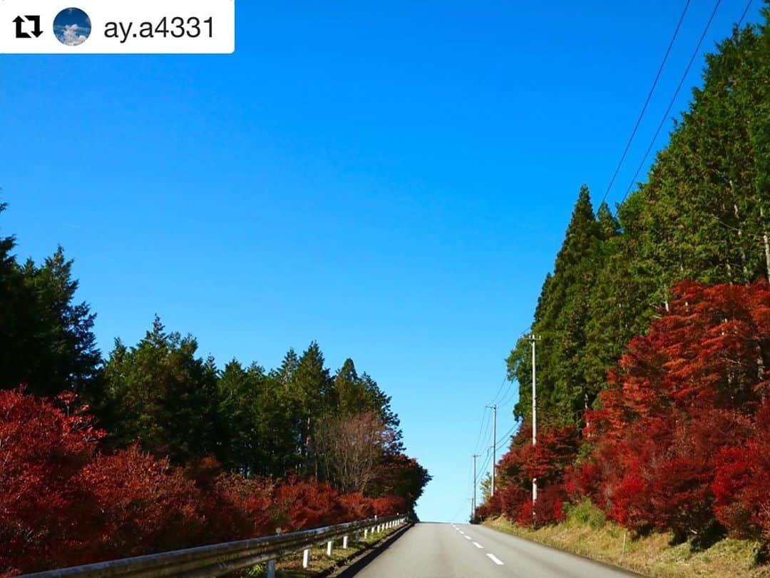 Gero City【下呂市公式アカウント】さんのインスタグラム写真 - (Gero City【下呂市公式アカウント】Instagram)「#Repost @ay.a4331 with @get_repost ・・・ 10/31 ふるさと農道 フォローさんの写真を見て、ドウダンツツジが紅葉してたので行ってきました🍁 竹原側から来る上り道のこの場所が好き💕  #写真好きな人と繋がりたい #写真撮ってる人と繋がりたい #ファインダー越しの私の世界 #InstagramJapan#カメラ女子#スマホ#eosを持って旅に出よう  #iPhone#gifuphoto #東海カメラマップ #gifuebooks #フォトジェニック#インスタ映え#岐阜県#gerostagram#下呂アンバサダー#空#どうだんつつじ #ドウダンツツジ#紅葉」10月31日 22時56分 - gerostagram