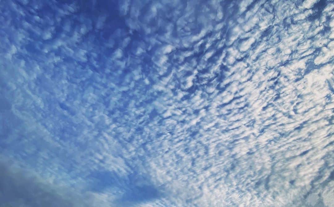 早瀬英里奈さんのインスタグラム写真 - (早瀬英里奈Instagram)「ありがとう10月✴︎✴︎✴︎ ・ ・ ・ #10月 #秋の空 #相変わらず #空の写真 #撮り続けています」10月31日 23時07分 - erina.hayase