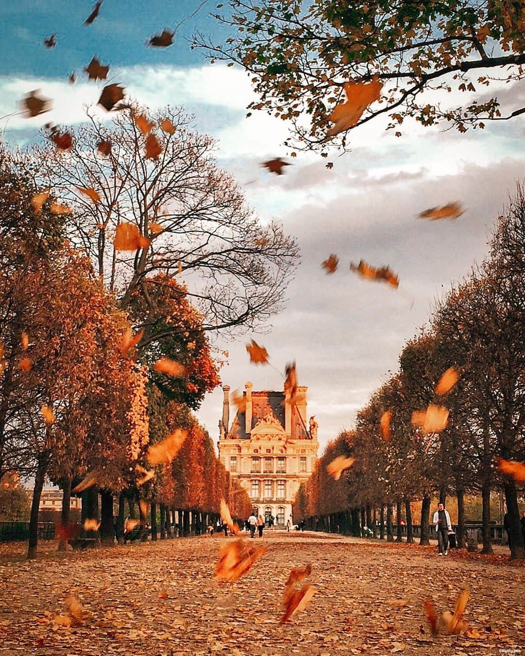 nathparisのインスタグラム：「AUTUMN COLORS 🍂🍁🍂 . Bon week-end à tous pour ce premier week-end de reconfinement, prenez soin de vous 💛 . Good weekend everyone for this first reconfinement weekend, take care and stay safe 💛」