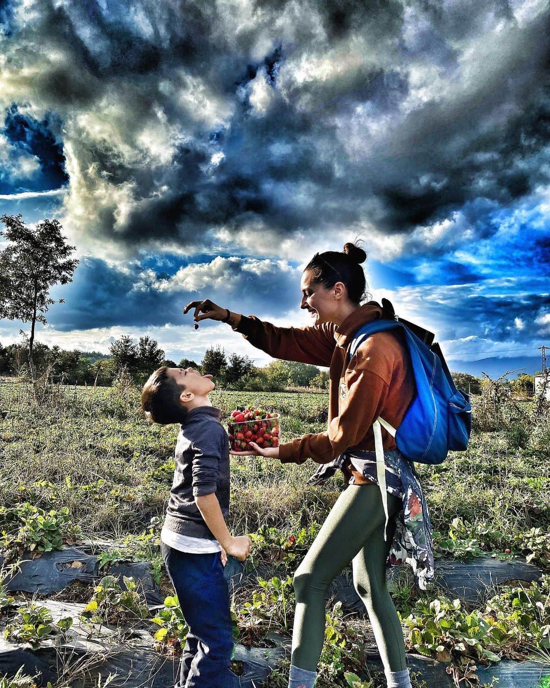 Sedef Avciのインスタグラム：「Kendi ellerinle topladığın çilek daha bir tatlı oluyormuş meğer.🍓🍓🍓」