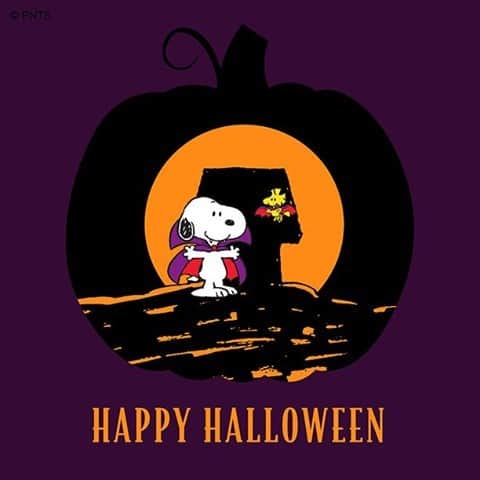 スヌーピーさんのインスタグラム写真 - (スヌーピーInstagram)「Happy Halloween! 🎃 👻」10月31日 23時34分 - snoopygrams