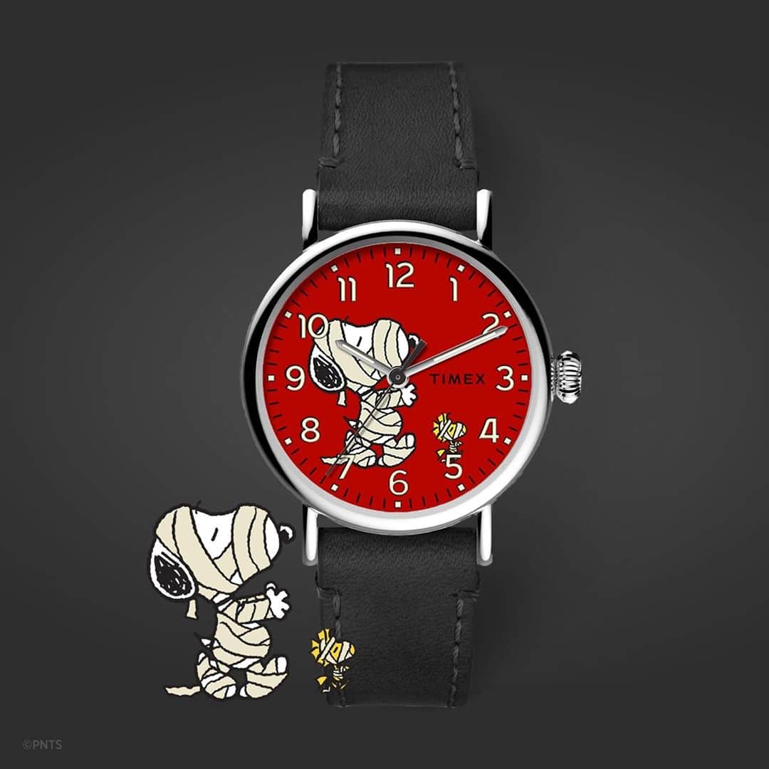 タイメックスさんのインスタグラム写真 - (タイメックスInstagram)「Happy #Halloween from our favorite #Peanuts pup!   ⌚: Timex Standard x Peanuts featuring Snoopy Halloween #timex #wedontstop #peanuts #snoopy #watch #halloween @snoopygrams @snoopyinfashion」10月31日 23時34分 - timex