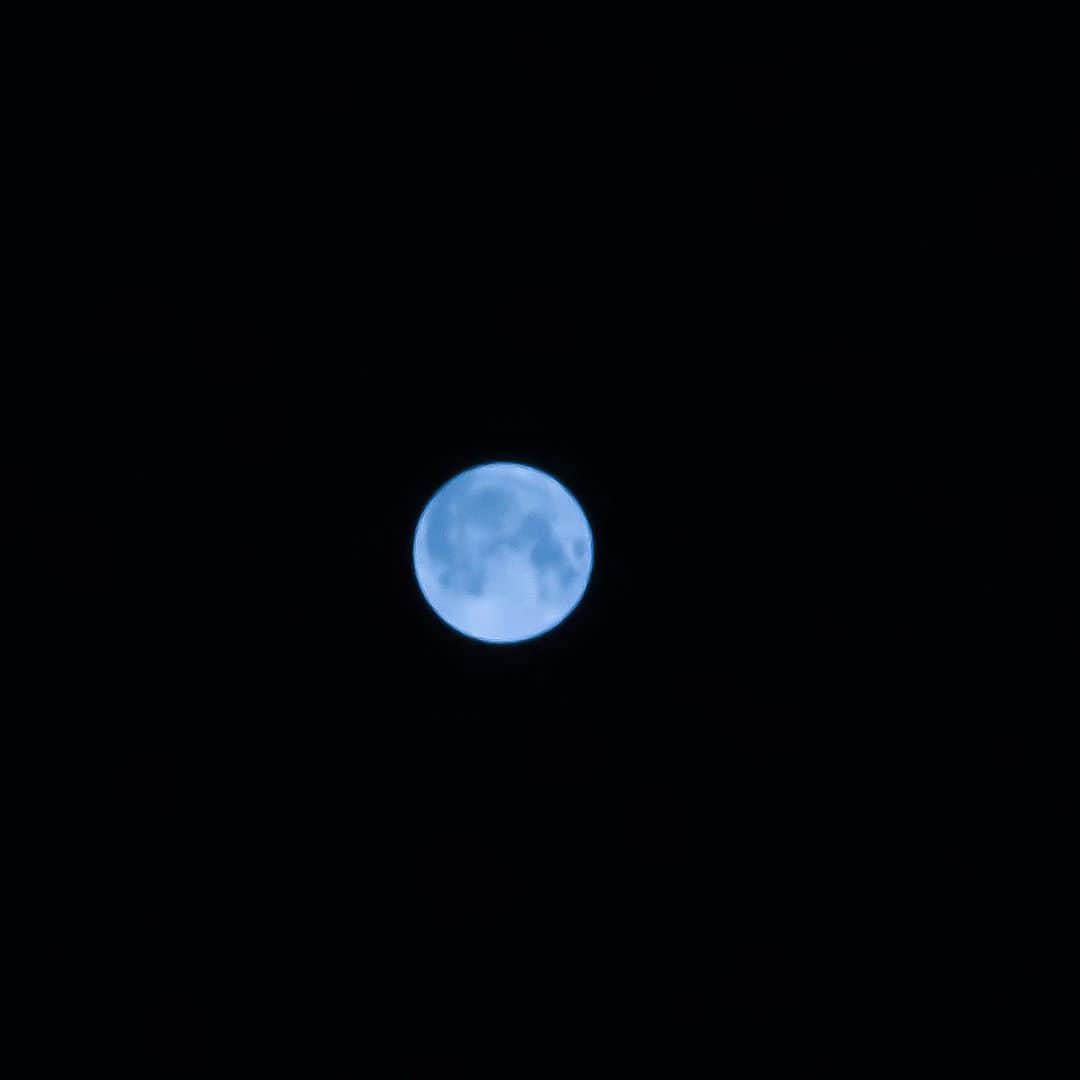 浅田信一のインスタグラム：「Blue Moon Blue」